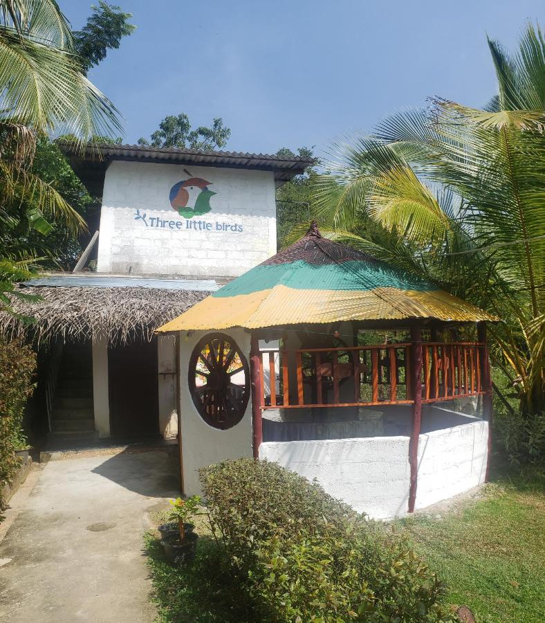 Hotel Three Little Birds Tangalle Exterior foto