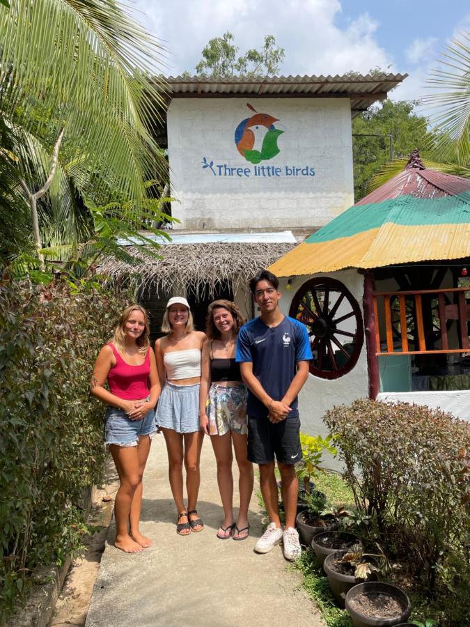 Hotel Three Little Birds Tangalle Exterior foto