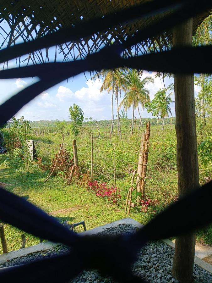 Hotel Three Little Birds Tangalle Exterior foto