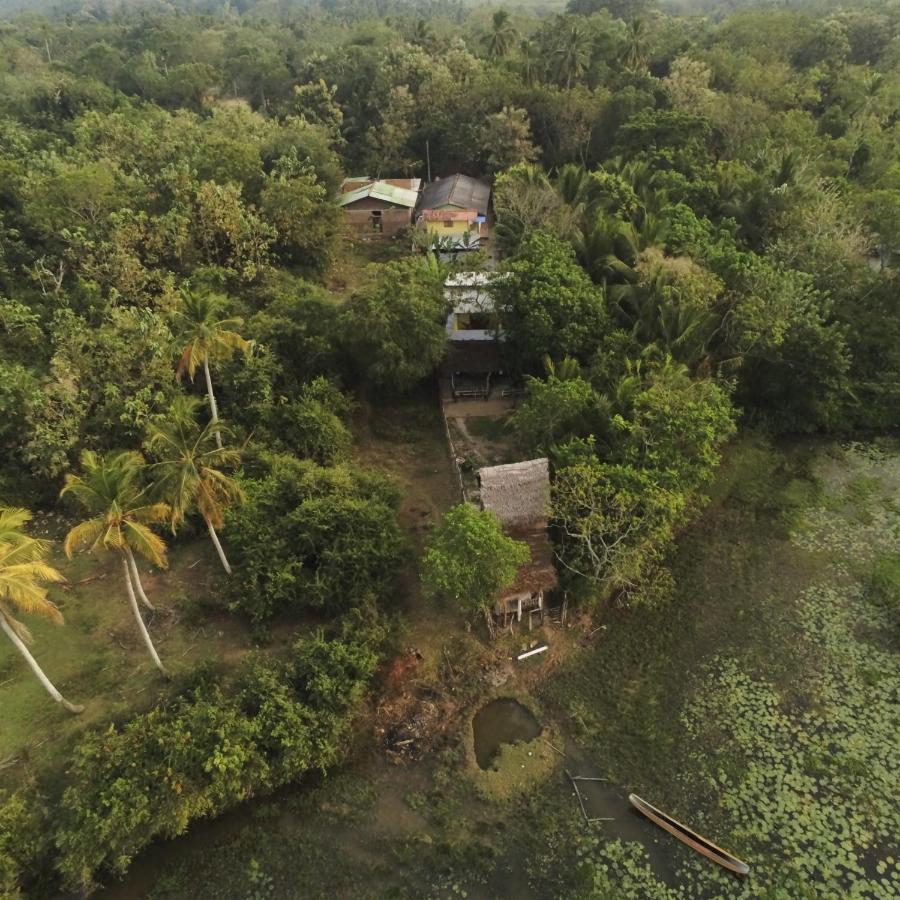 Hotel Three Little Birds Tangalle Exterior foto
